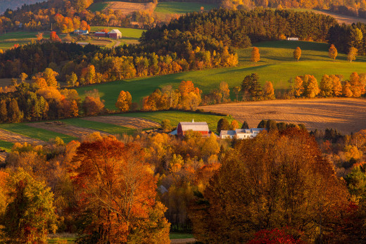 1755577 (a): :2048x1365